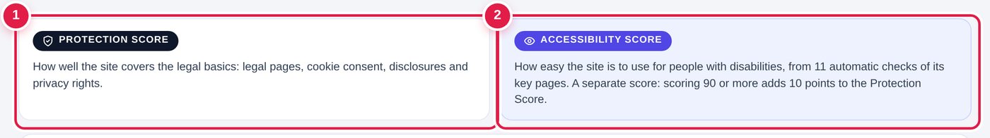 The two score cards: Protection Score in dark and Accessibility Score in purple